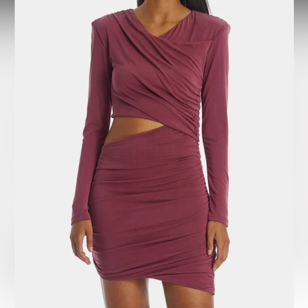 Bardot Rosa Ruched Mini Dress - Picture 6 of 6